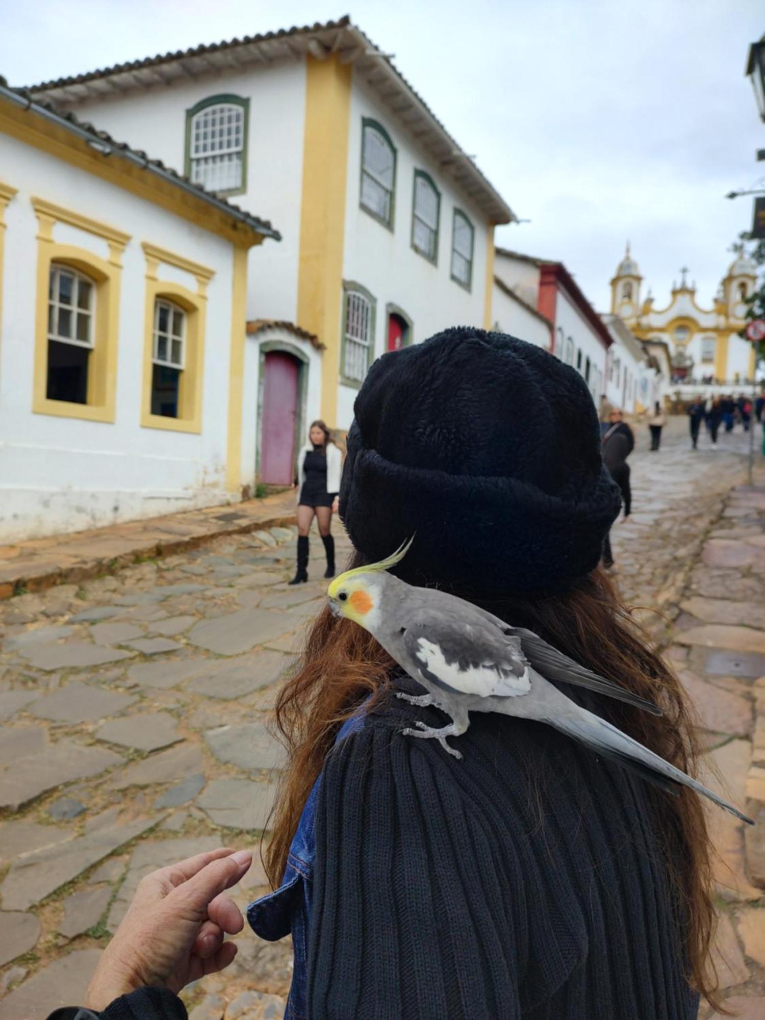 Antiquario & Pousada Da Matriz Hotel Tiradentes Kültér fotó